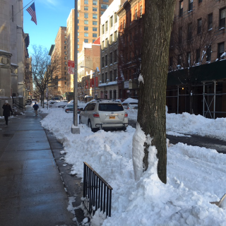 Illustration for article titled Upper West Side Post Snowpocalypse